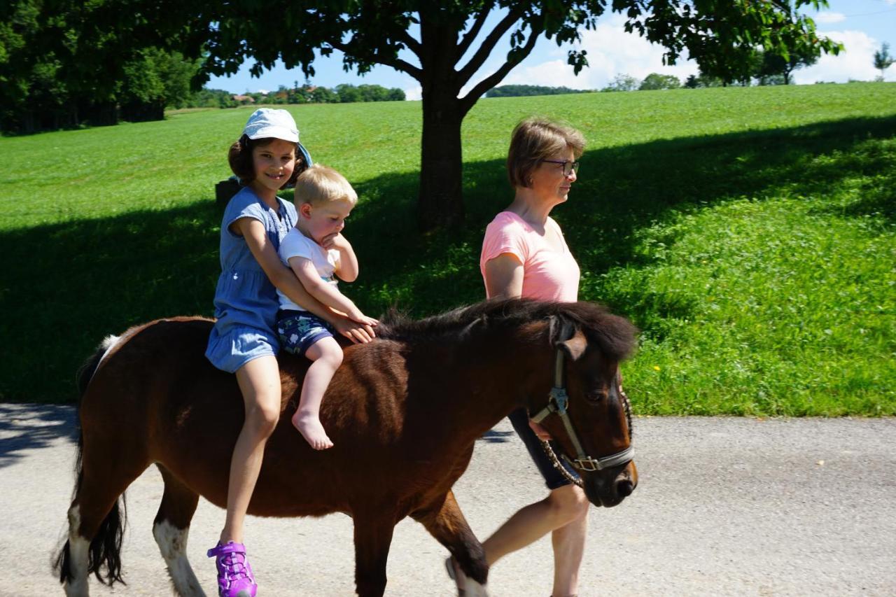 Kinderbauernhof Salmanner Steinbach an der Steyr Экстерьер фото