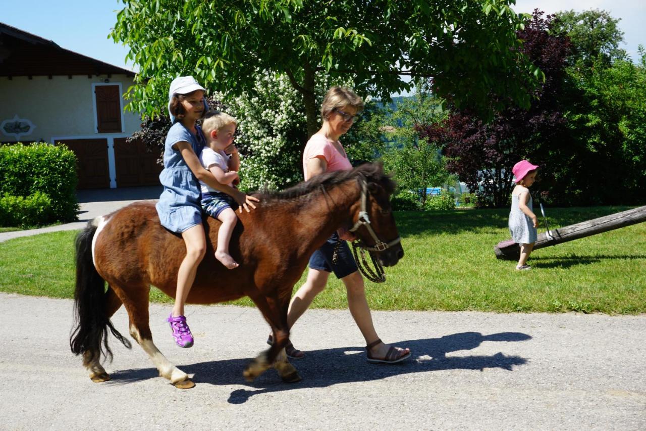 Kinderbauernhof Salmanner Steinbach an der Steyr Экстерьер фото