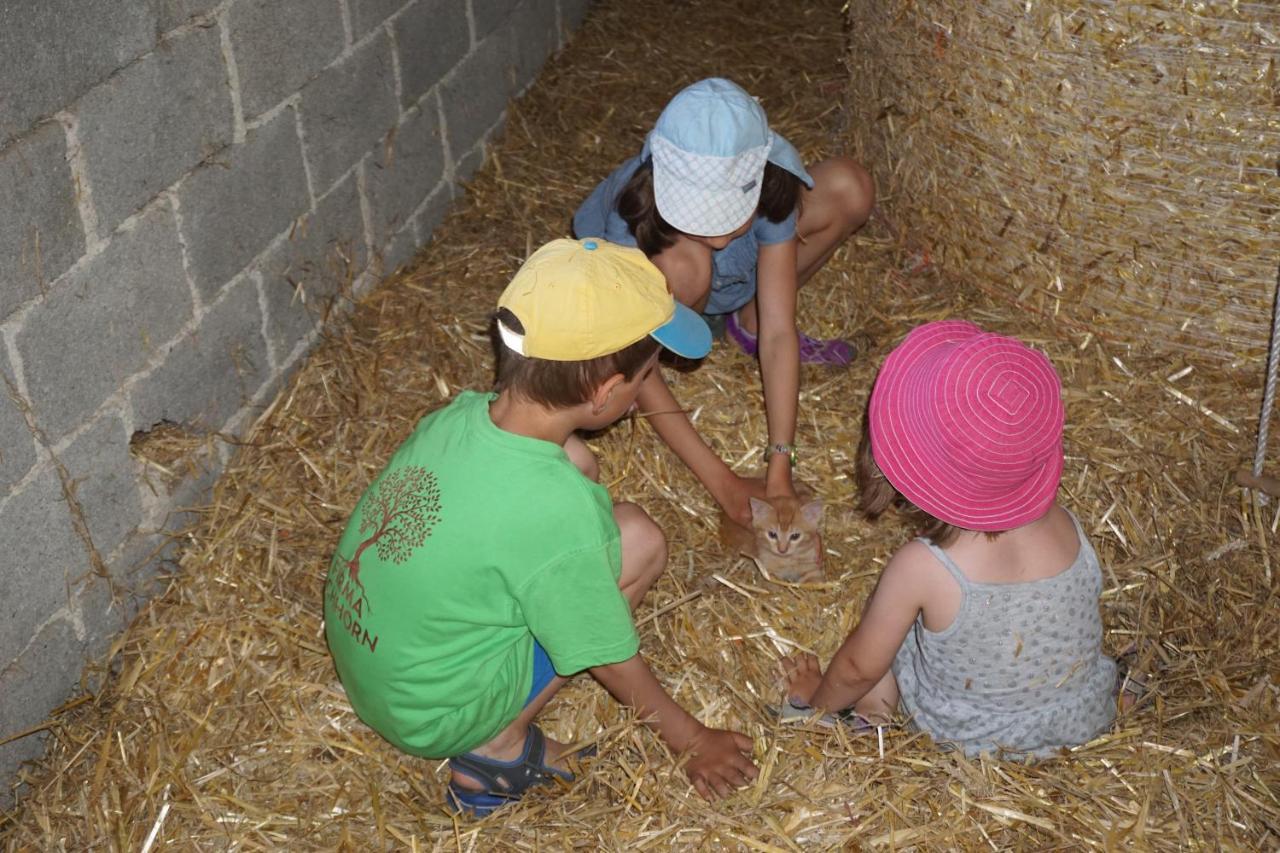 Kinderbauernhof Salmanner Steinbach an der Steyr Экстерьер фото