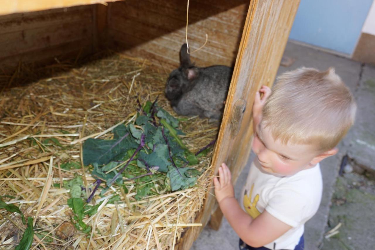 Kinderbauernhof Salmanner Steinbach an der Steyr Экстерьер фото