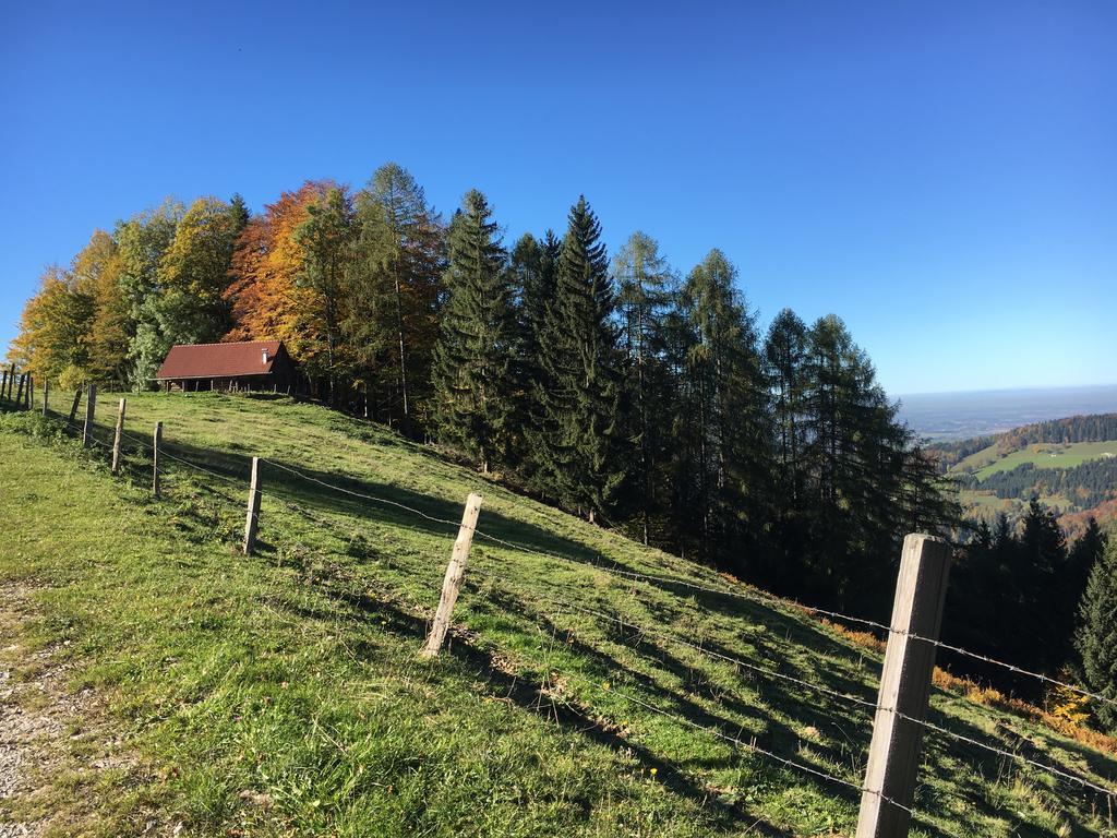 Kinderbauernhof Salmanner Steinbach an der Steyr Экстерьер фото